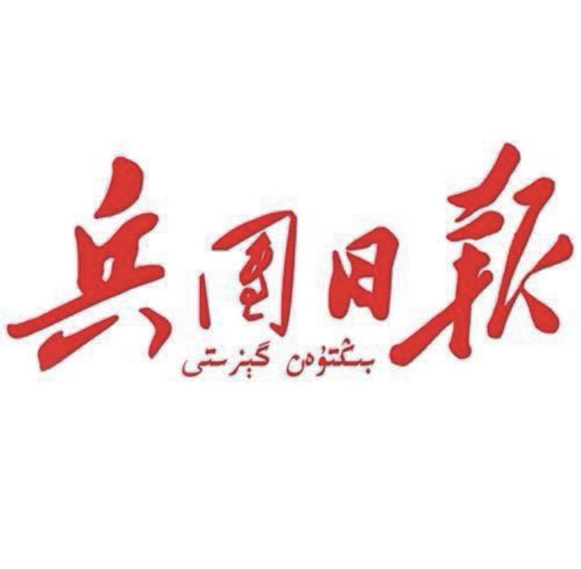 客户见证